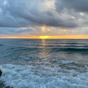 Meet your Posher, Pamela